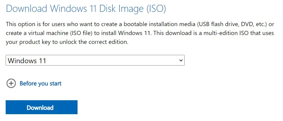 Windows 11 22H2 の ISO ディスク イメージ