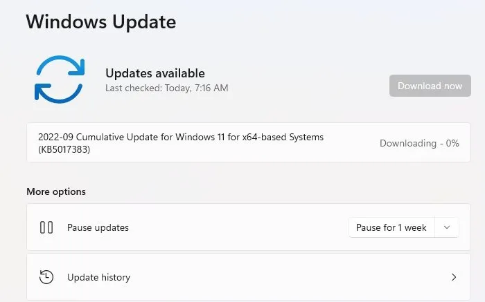 Laden Sie das Windows-Update herunter