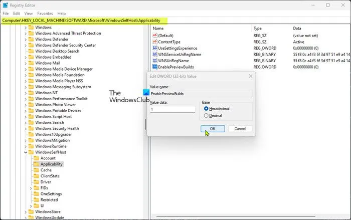 Windows レジストリ キー Registry-EnablePreviewBuilds を編集します。