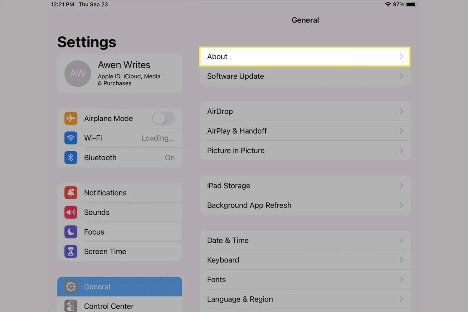 iPad 설정에서 강조 표시된 정보 옵션.
