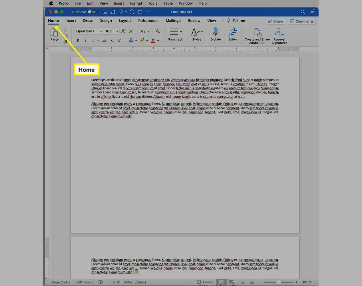 Microsoft Word con il menu Home attivo