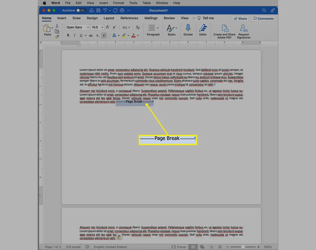 Microsoft Word con interruzione di pagina evidenziata