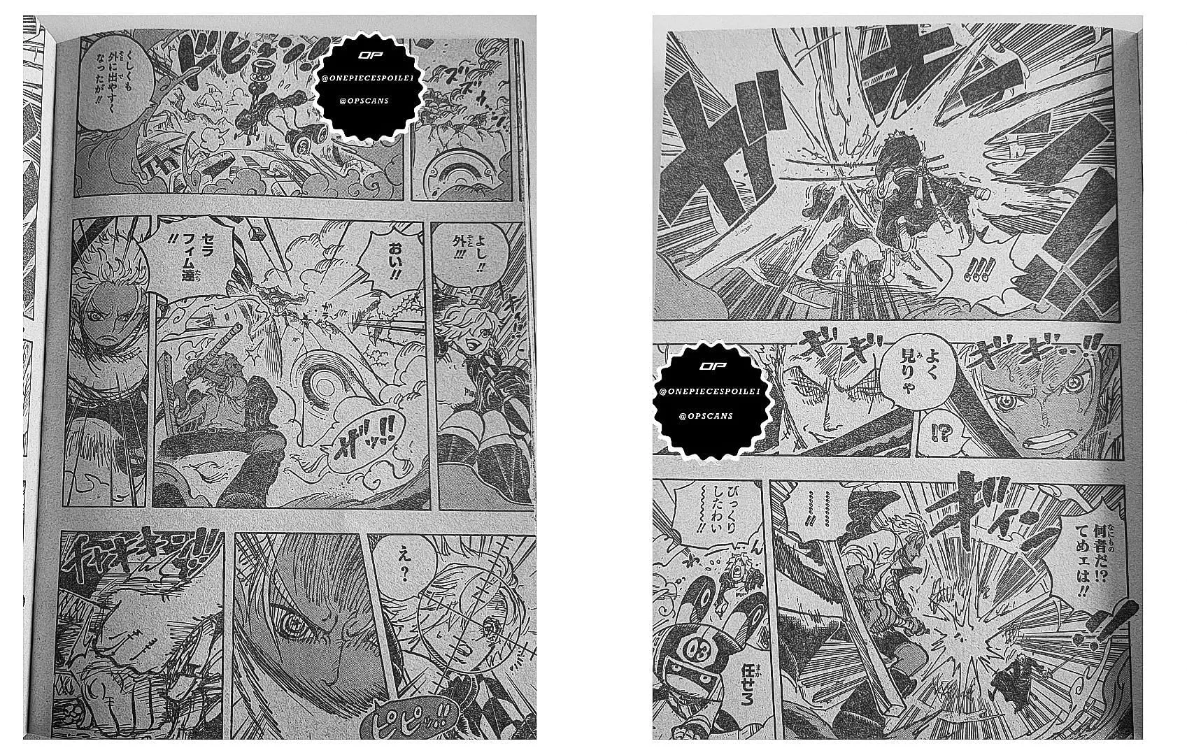 ゾロとS-Hawkがワンピースの第1073章で互いに戦う（尾田栄一郎による画像）