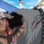 One Piece rozdział 1072: Kuma wspina się w kierunku nieznanego celu, podczas gdy na wyspie Egghead wybucha chaos