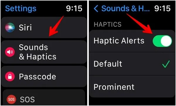 Apple Watch Haptics