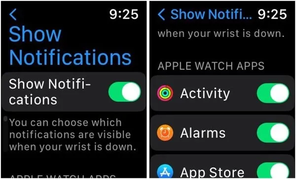 Apple Watch Mostra notifica Polso in basso Abilita
