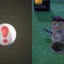 Animal Crossing: New Horizons에서 함정 씨앗을 찾을 수 있는 위치