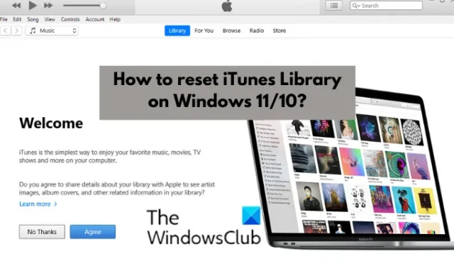 ¿Cómo restablecer la biblioteca de iTunes en Windows 11/10?