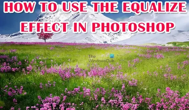 Photoshop でイコライズ効果を使用する方法
