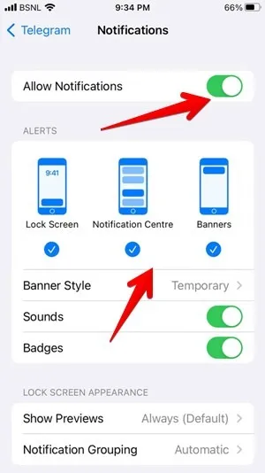 Notifiche dell'app per iPhone abilitate