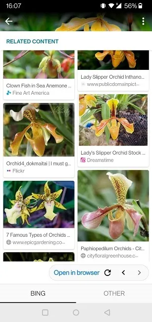 逆画像検索の実行 Android Sherlock Orchid