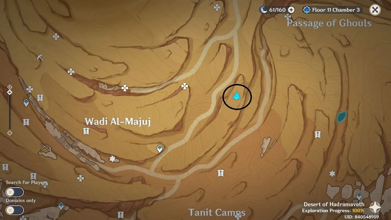 Teleportiere dich nach Wad Al-Majuj und bewege dich zum markierten Ort (Bild über HoYoverse)