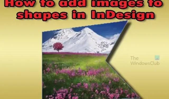InDesign のフレームに画像を配置する方法