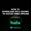 Comment télécharger des émissions Hulu pour les regarder hors ligne