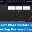 Word Dictate は、Hey、Open、Hello、What という単語を挿入し続けます
