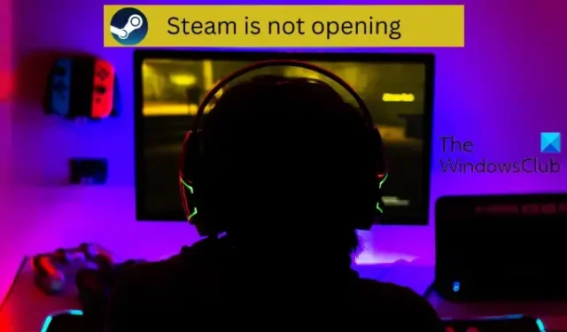 Steam não está abrindo no Windows 11/10
