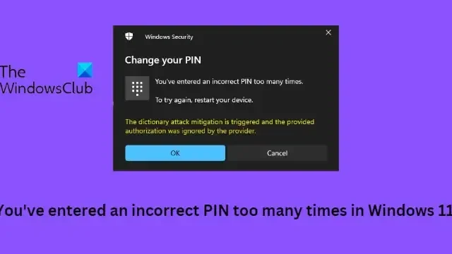 Windows 11 で何度も間違った PIN を入力した