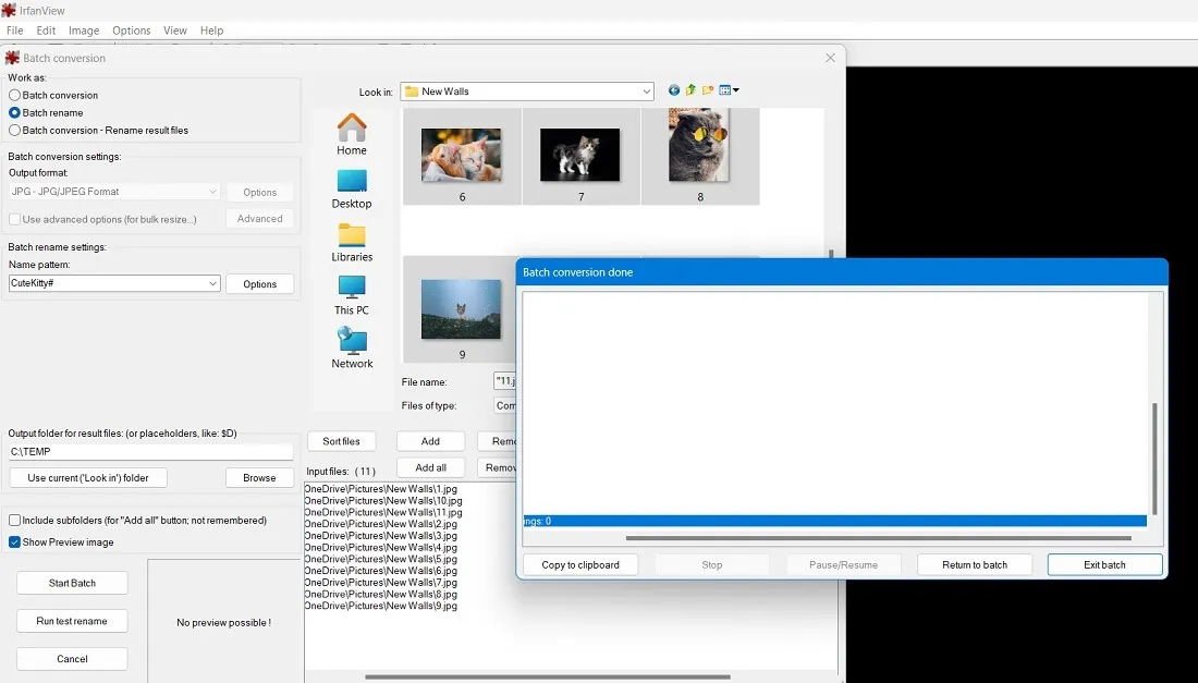 Batch-Bearbeitung von Bildern mit IrfranView - Batch-Umbenennung aller Dateien in einem Ordner.