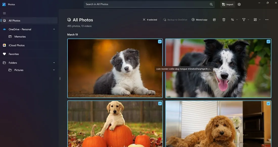 Verfügbare Einstellungen für Windows Fotos zum Verwalten mehrerer Bilder