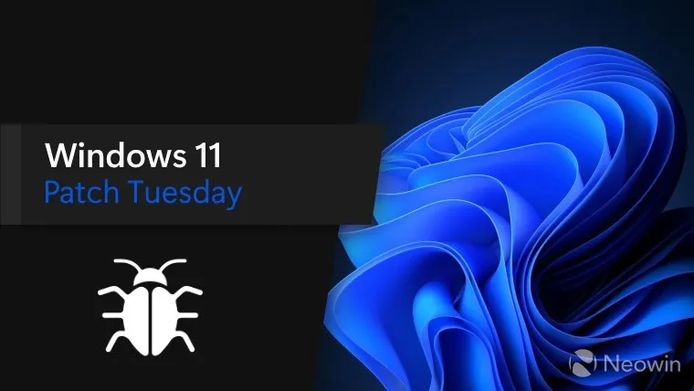 Een bug Windows 11 Patch dinsdag