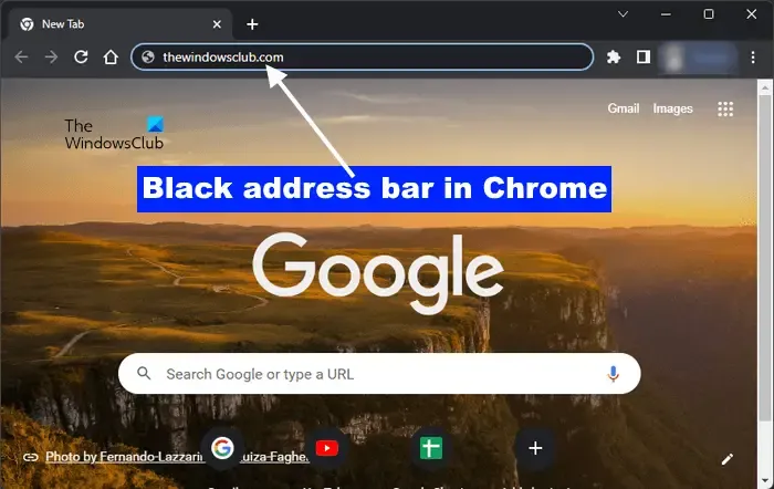 Chrome の黒いアドレス バー