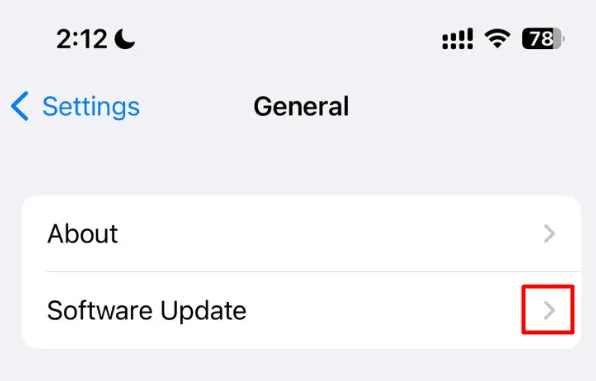 Suchen Sie nach Software-Updates im iPhone