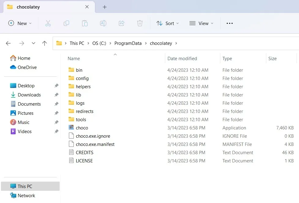 すべての構成ファイルとパッケージを含む Windows 11 の Chocolatey フォルダー