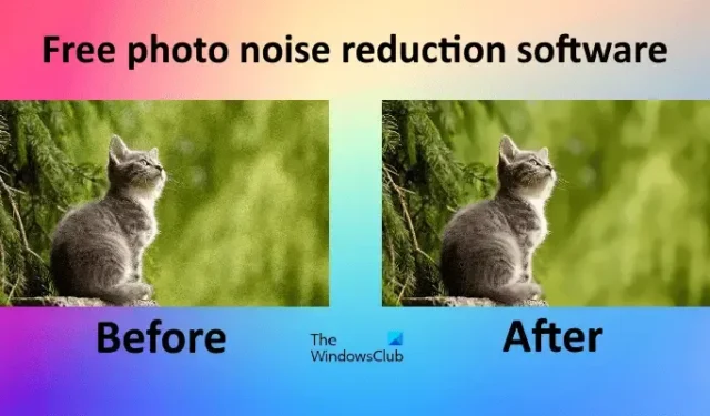 Meilleur logiciel gratuit de réduction du bruit photo pour PC Windows