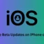 Cómo habilitar las actualizaciones beta en iPhone o iPad