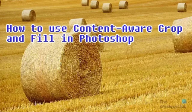 Content-Aware Crop en Fill gebruiken in Photoshop