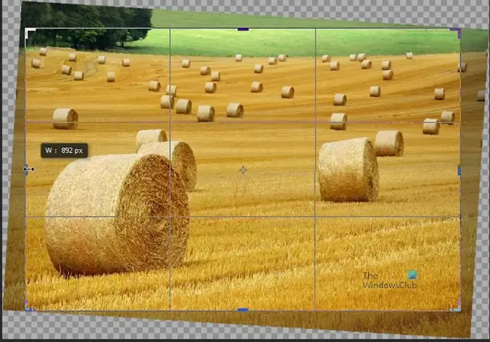 Content-Aware gebruiken Bijsnijden en invullen in Photoshop - Afbeelding die laat zien waar bijsnijden en rechtzetten zal gebeuren