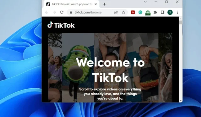 댓글이 로드/표시되지 않을 때 TikTok을 수정하는 2가지 방법