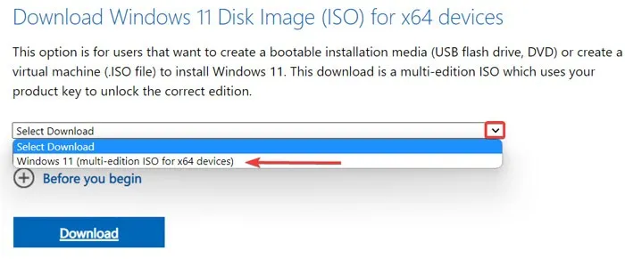 Selecionando a opção de imagem de disco (ISO) do Windows 11.