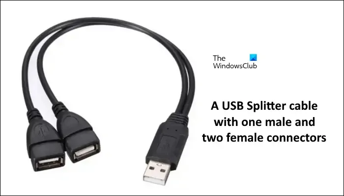 2 つのメス型 USB コネクタを備えた USB スプリッタ
