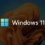 Aplicativo de despoluição do Windows 11 é banido da Microsoft Store, desenvolvedor chama de “uma tragédia”