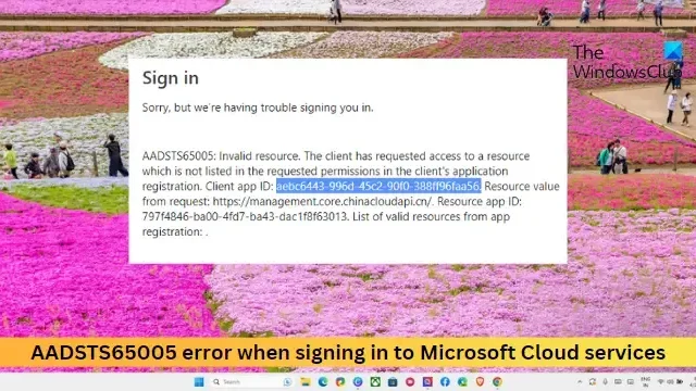 Error AADSTS65005 al iniciar sesión en los servicios en la nube de Microsoft