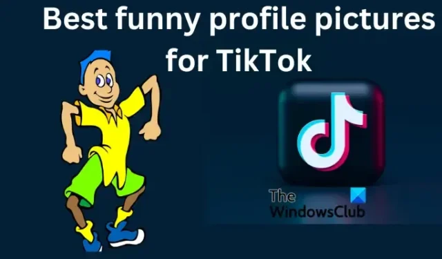 Boas fotos de perfil engraçadas para o TikTok