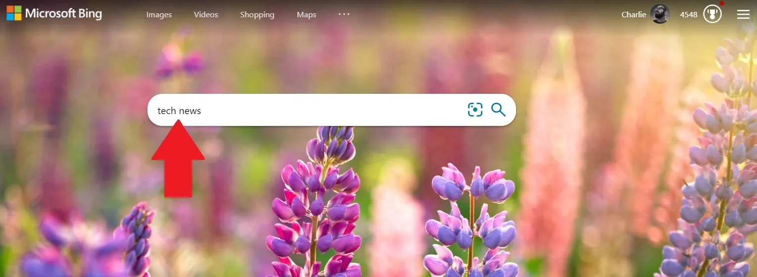 Home page di ricerca di Bing