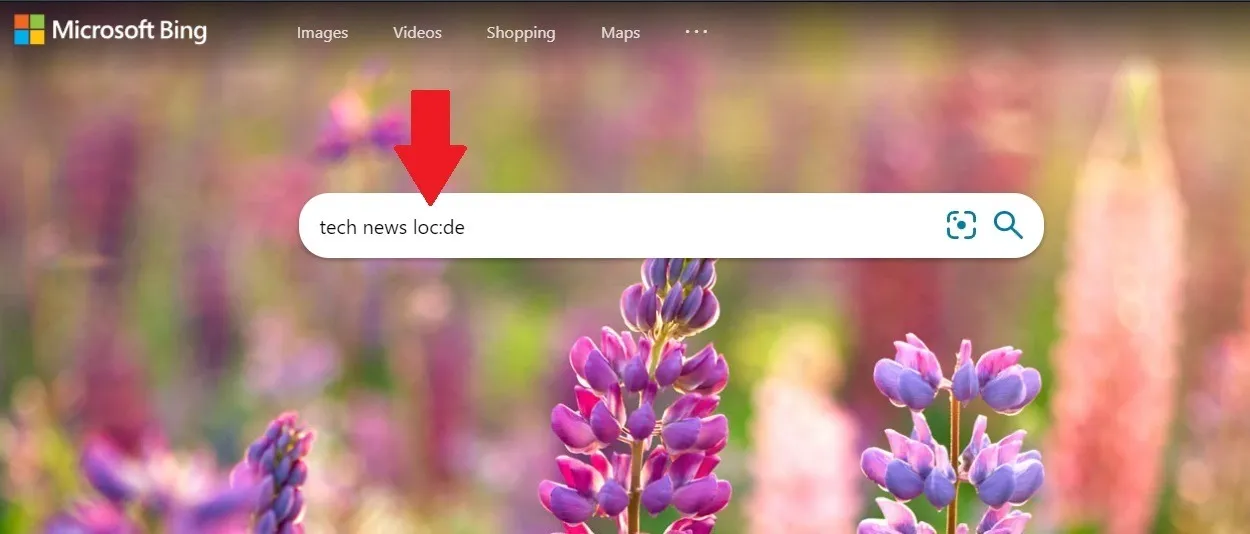 Bing cerca il codice della posizione
