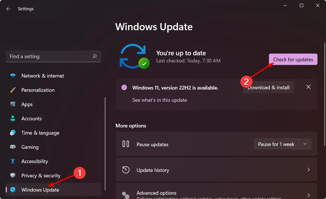 check-updates-w11 windows 11 tela azul