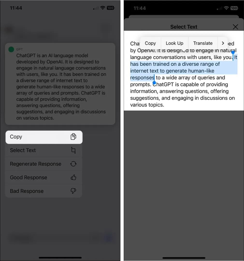 Copie una respuesta o texto seleccionado en la aplicación ChatGPT para iOS