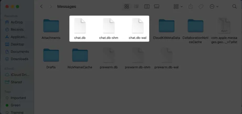 次のメッセージ フォルダー内のファイルを削除します - chat.db-wal、chat.db、および chat.db-shm