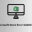 Microsoft Store-fout 0x80073d01 oplossen bij het installeren van apps