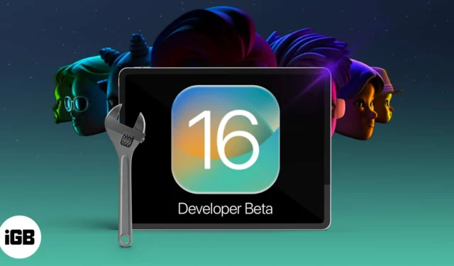 iPadOS 16.5 開発者ベータ 4 を iPad にダウンロードする方法