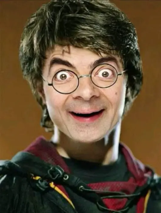Sr. Feijão Harry Potter