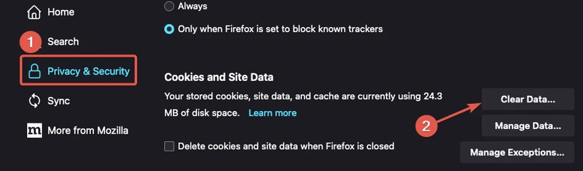 Riproduzione Vai a Firefox Cancella dati