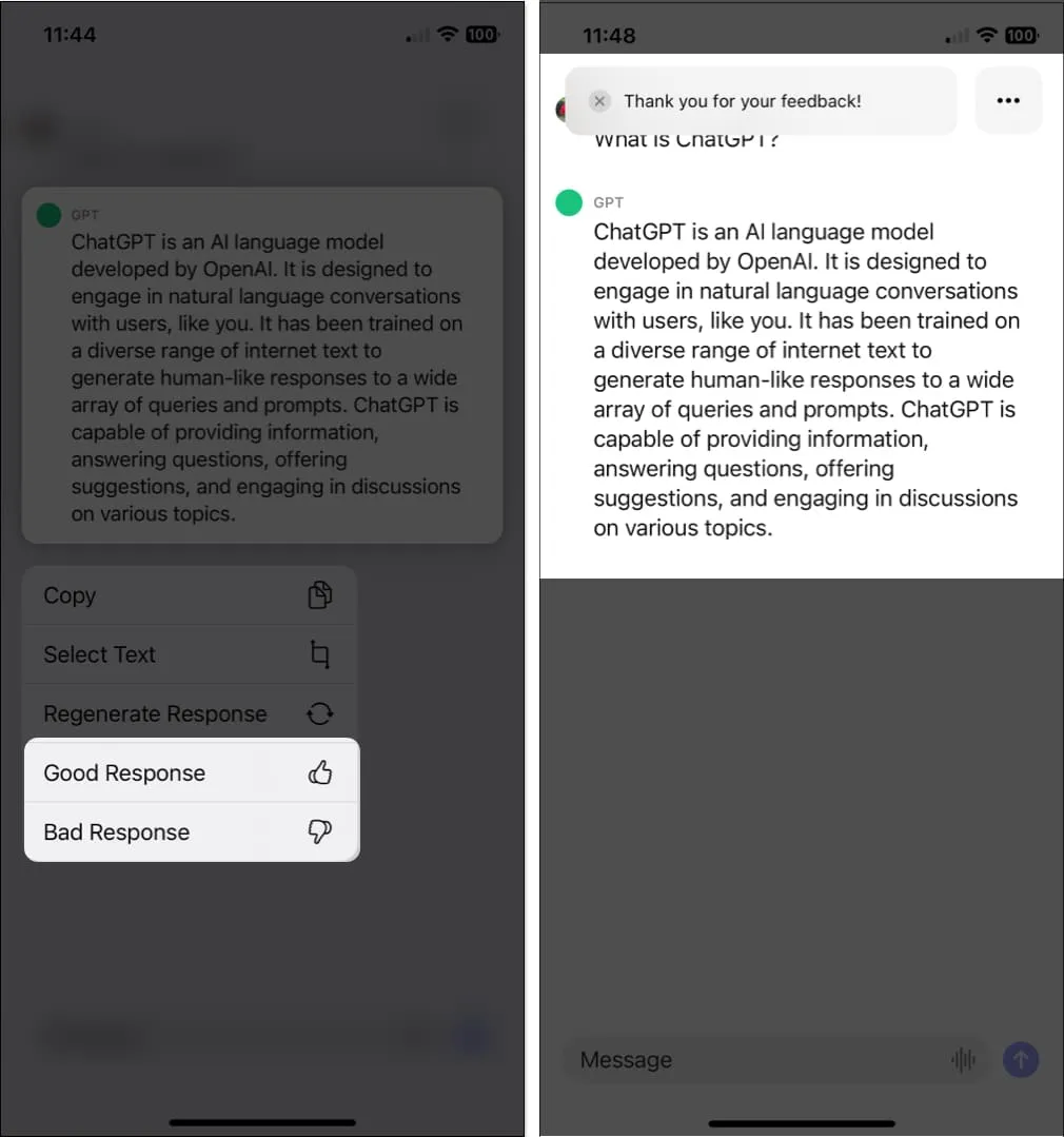 Fornisci feedback nell'app iOS ChatGPT