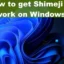 Come far funzionare Shimeji su Windows 11/10