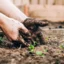 7 strumenti intelligenti che possono farti risparmiare tempo nel giardinaggio