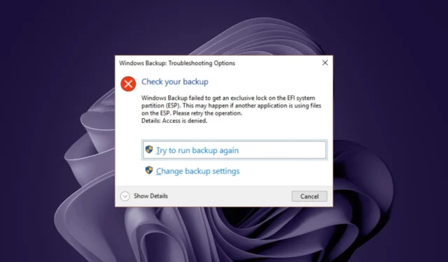 Windows Backup kreeg geen exclusief slot [repareren]